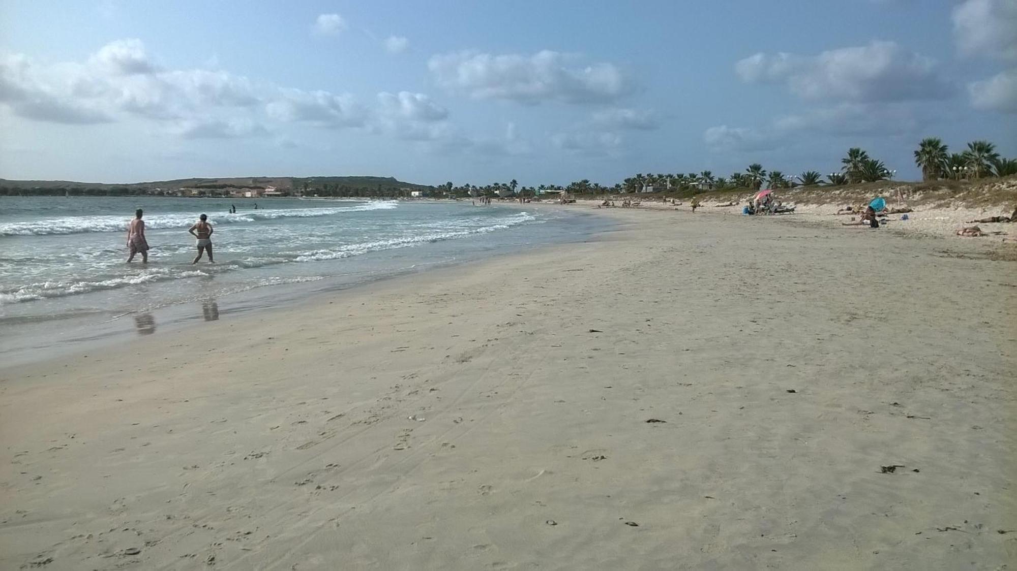 مبيت وإفطار Zeddiani Sardinia Eco Vegan House المظهر الخارجي الصورة