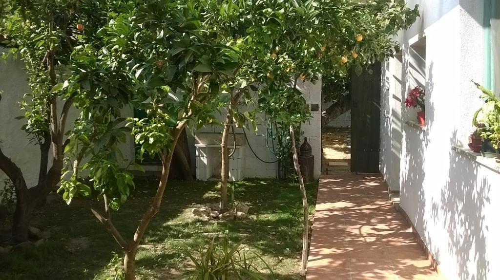مبيت وإفطار Zeddiani Sardinia Eco Vegan House المظهر الخارجي الصورة