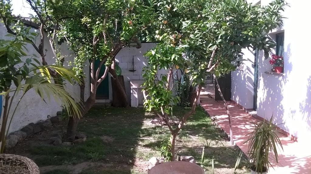 مبيت وإفطار Zeddiani Sardinia Eco Vegan House المظهر الخارجي الصورة